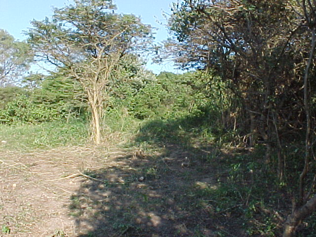 0 Bedroom Property for Sale in Cintsa East Eastern Cape